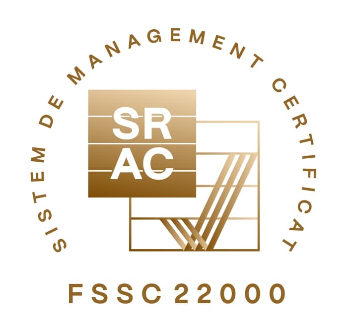 iso icon