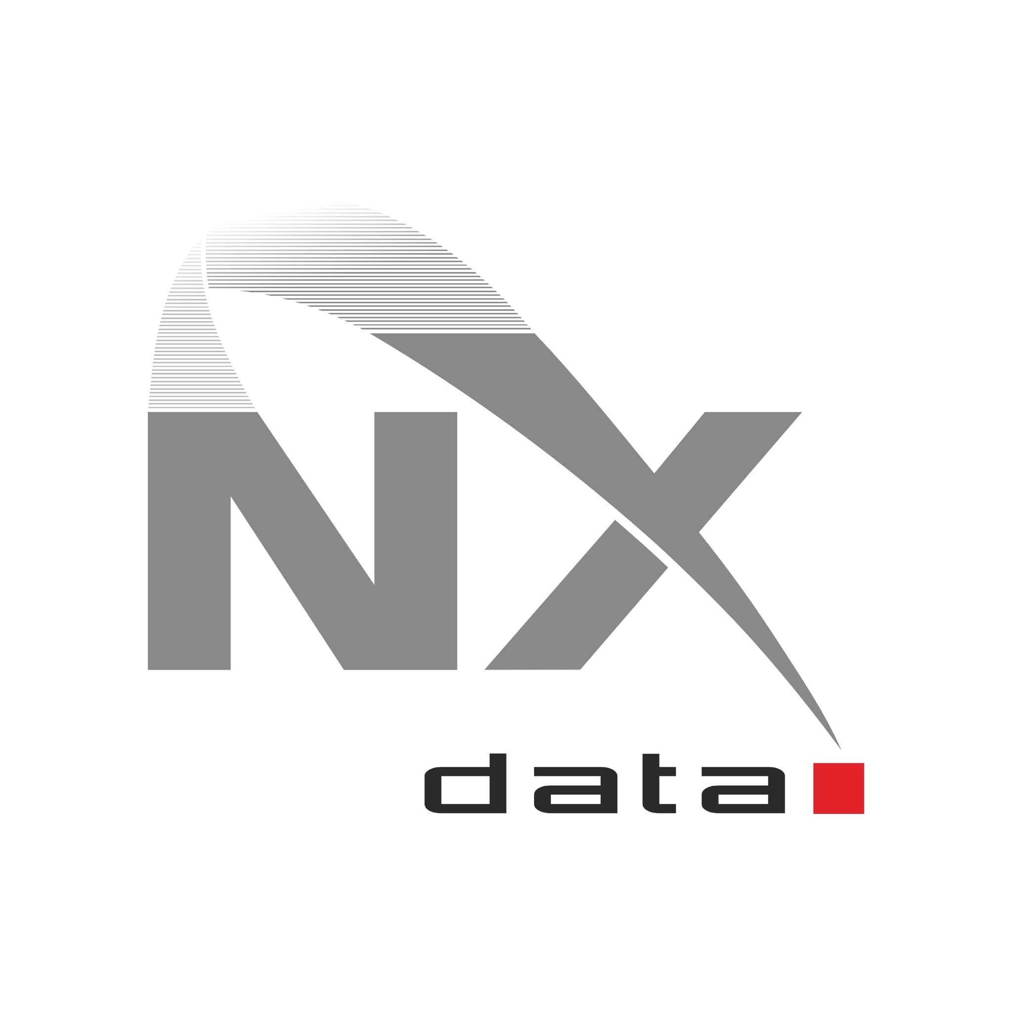 NXDATA logo
