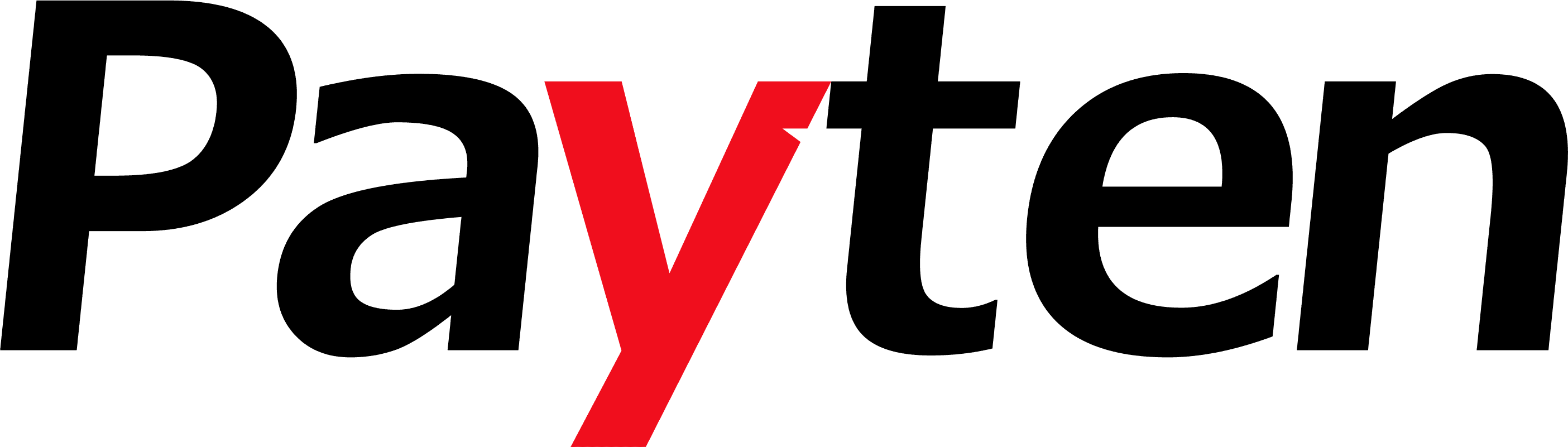 PAYTEN PAYMENT SOLUTIONS logo