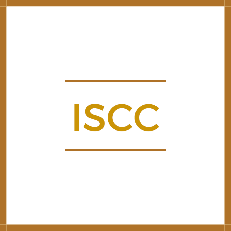 iso icon