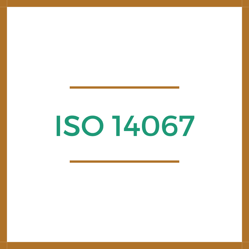 iso icon